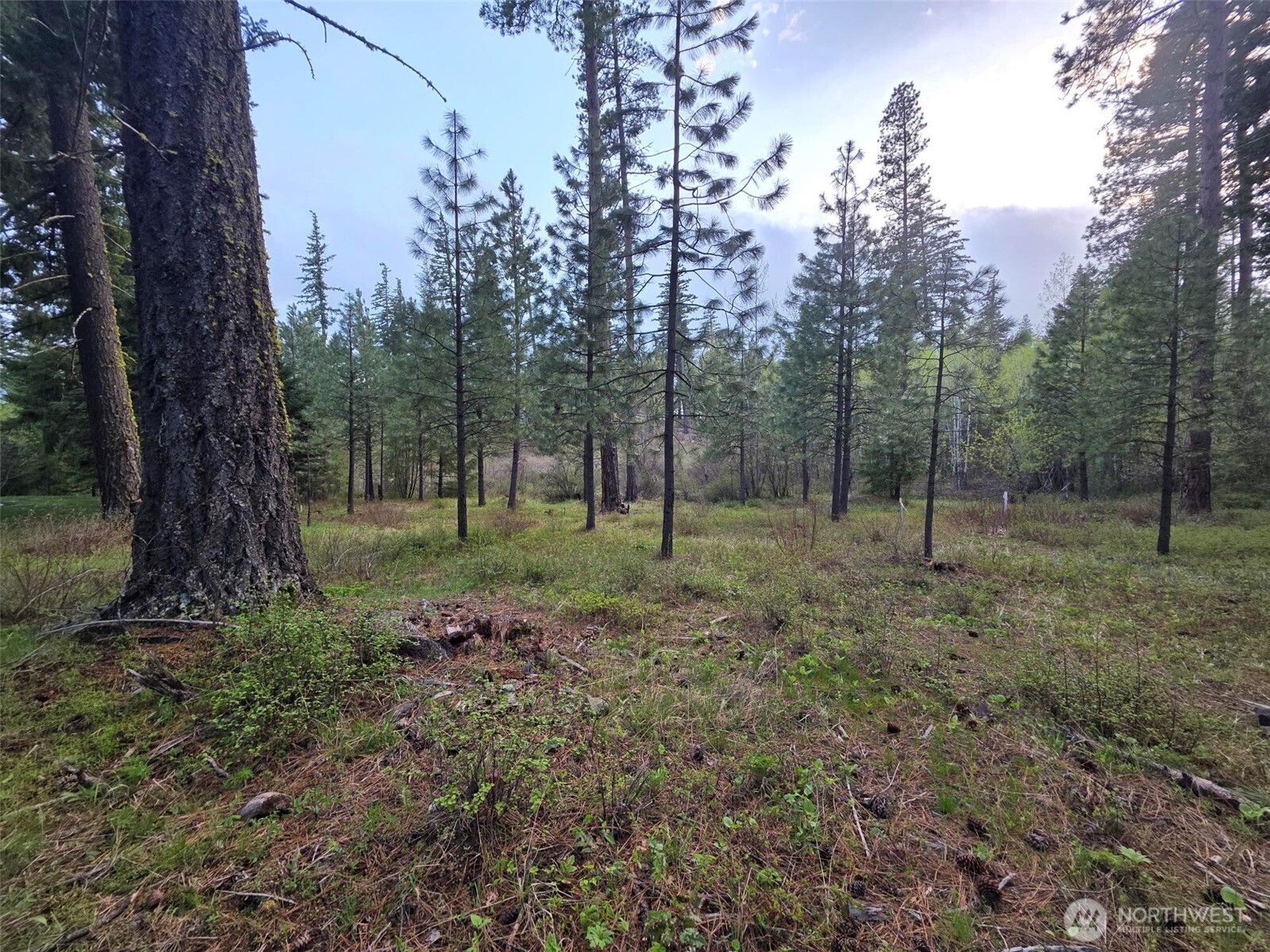 15 Lot Old Grove Trail , Cle Elum, WA 98922