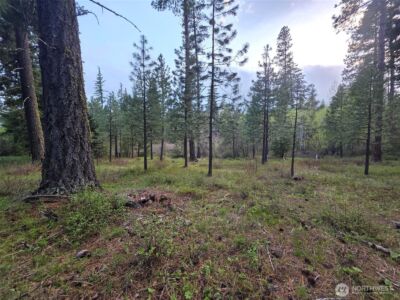 15 Lot Old Grove Trail , Cle Elum, WA 98922