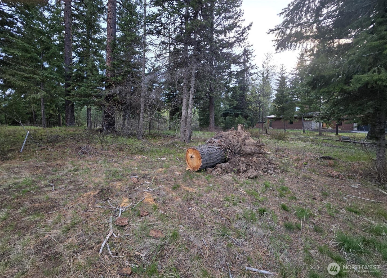 15 Lot Old Grove Trail , Cle Elum, WA 98922