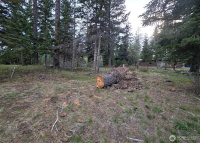 15 Lot Old Grove Trail , Cle Elum, WA 98922 - Photo 3