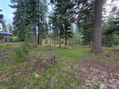 15 Lot Old Grove Trail , Cle Elum, WA 98922 - Photo 6