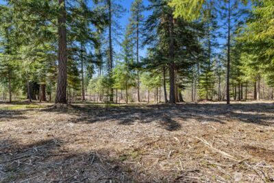 15 Lot Old Grove Trail , Cle Elum, WA 98922 - Photo 5