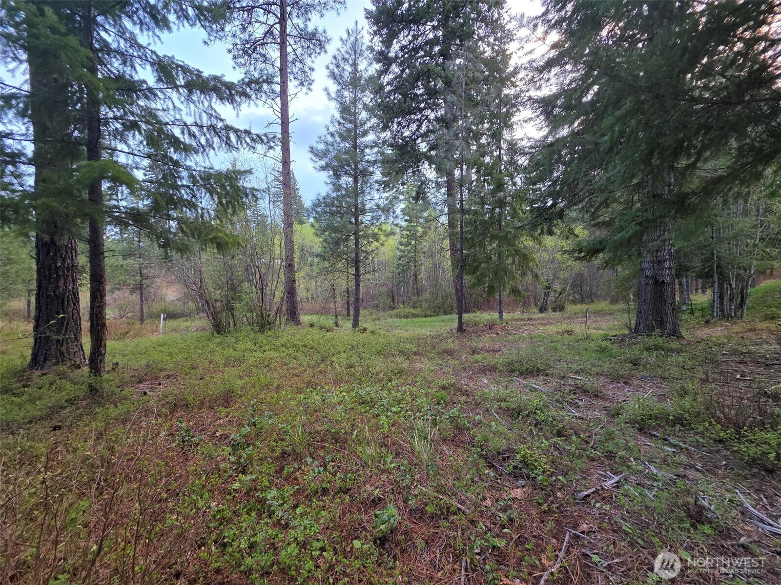 15 Lot Old Grove Trail , Cle Elum, WA 98922