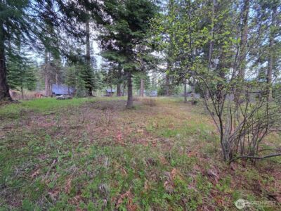 15 Lot Old Grove Trail , Cle Elum, WA 98922 - Photo 10