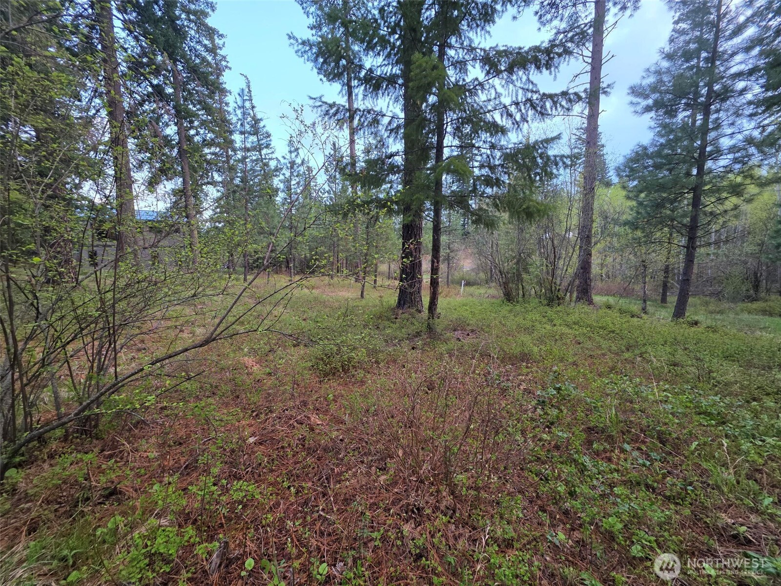 15 Lot Old Grove Trail , Cle Elum, WA 98922