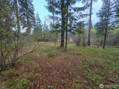 15 Lot Old Grove Trail , Cle Elum, WA 98922 - Photo 11