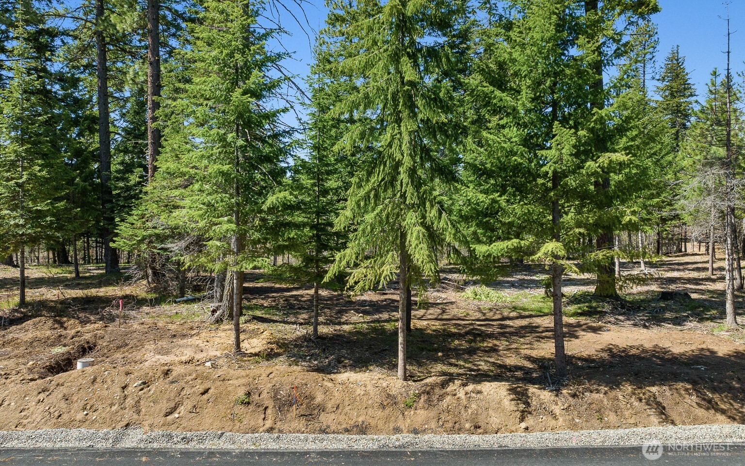 15 Lot Old Grove Trail , Cle Elum, WA 98922