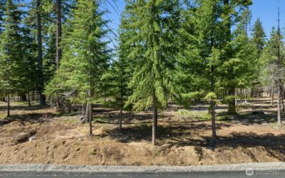 15 Lot Old Grove Trail , Cle Elum, WA 98922 - Photo 9