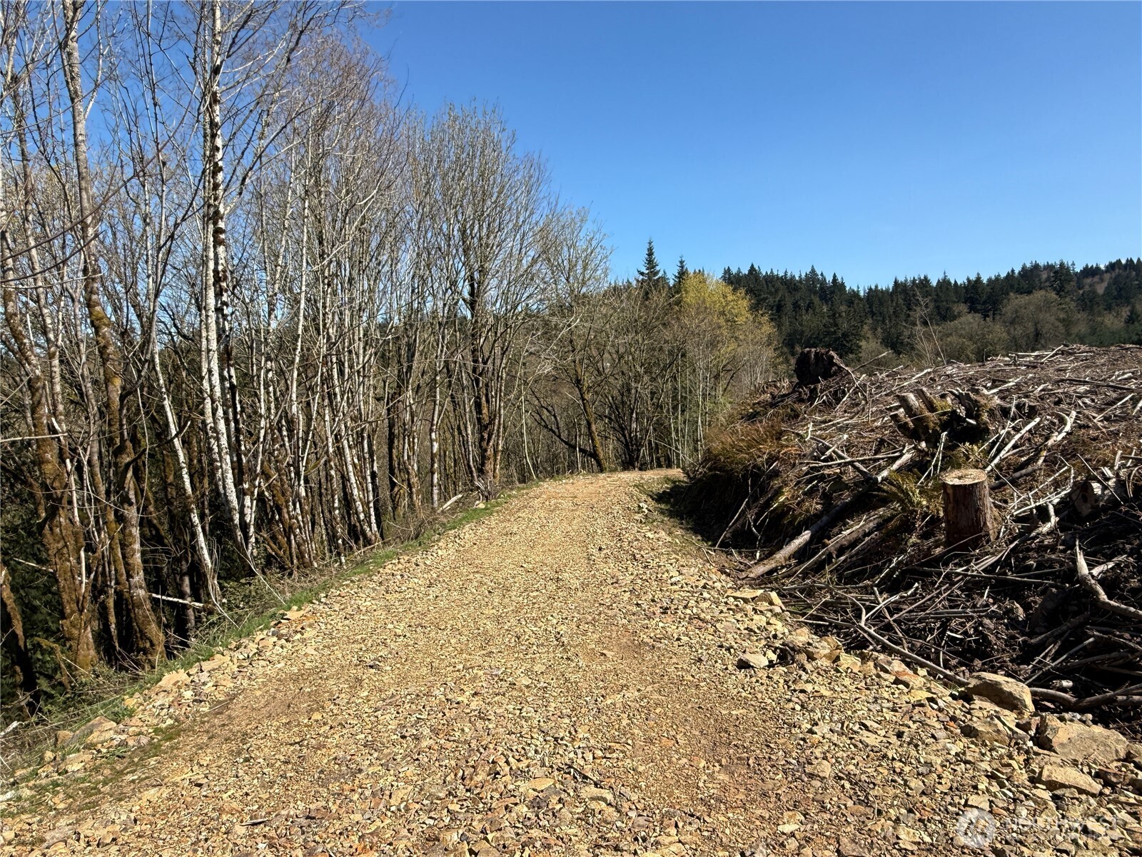 555 Kool Road , Kelso, WA 98626