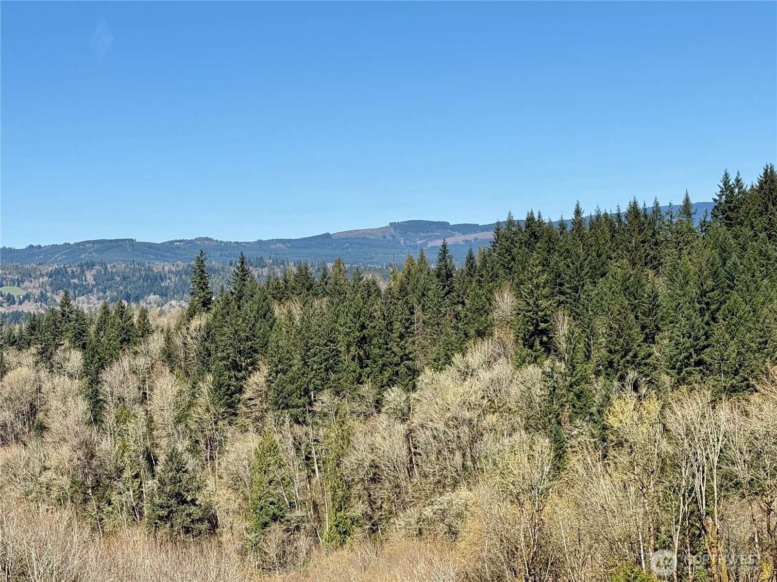 555 Kool Road , Kelso, WA 98626