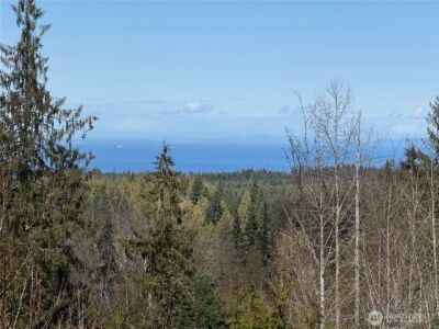 445 Watershed Road , Port Angeles, WA 98362 - Photo 12