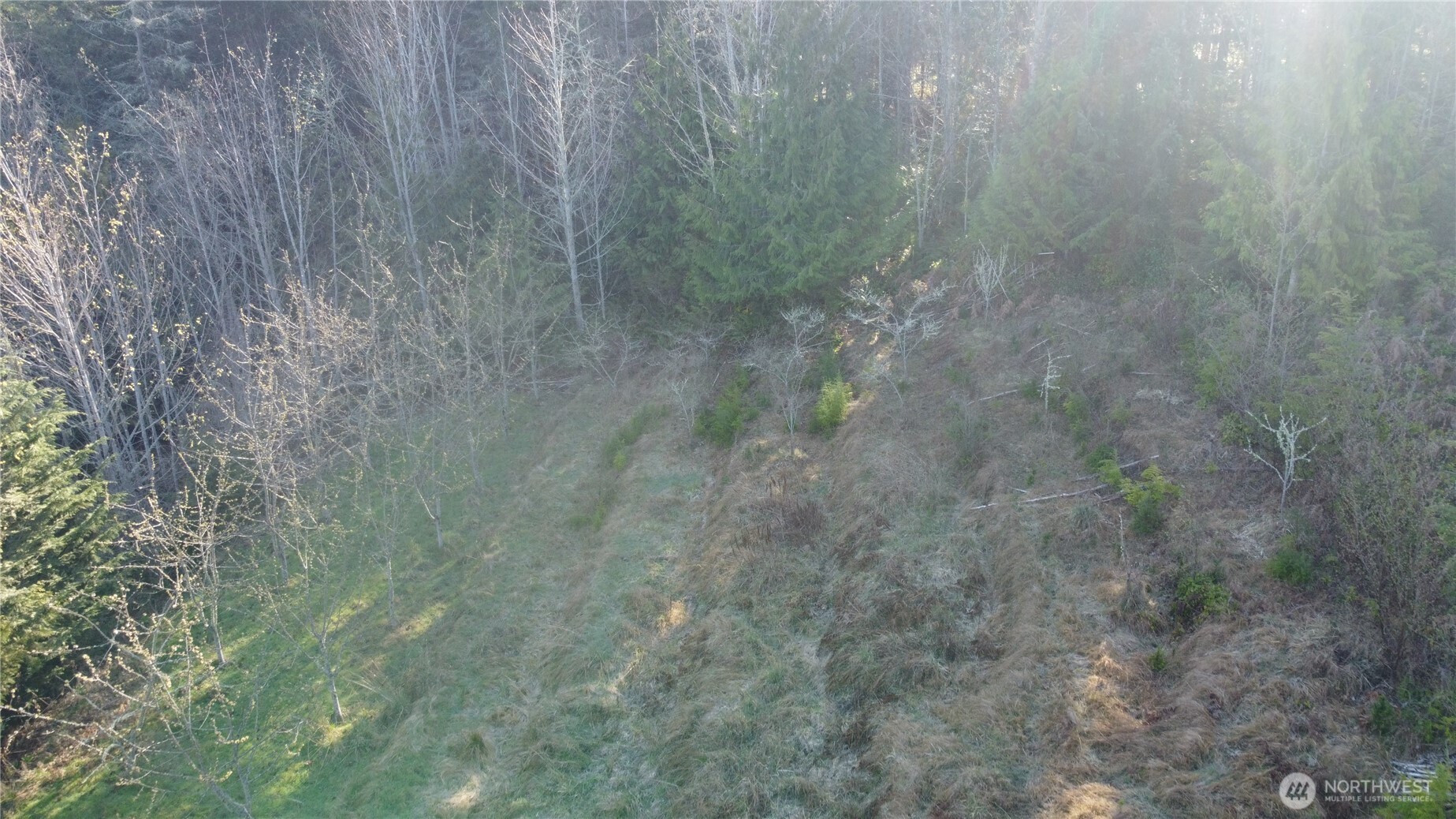 445 Watershed Road , Port Angeles, WA 98362