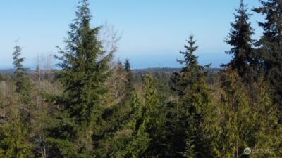 445 Watershed Road , Port Angeles, WA 98362 - Photo 19