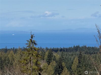 445 Watershed Road , Port Angeles, WA 98362 - Photo 29