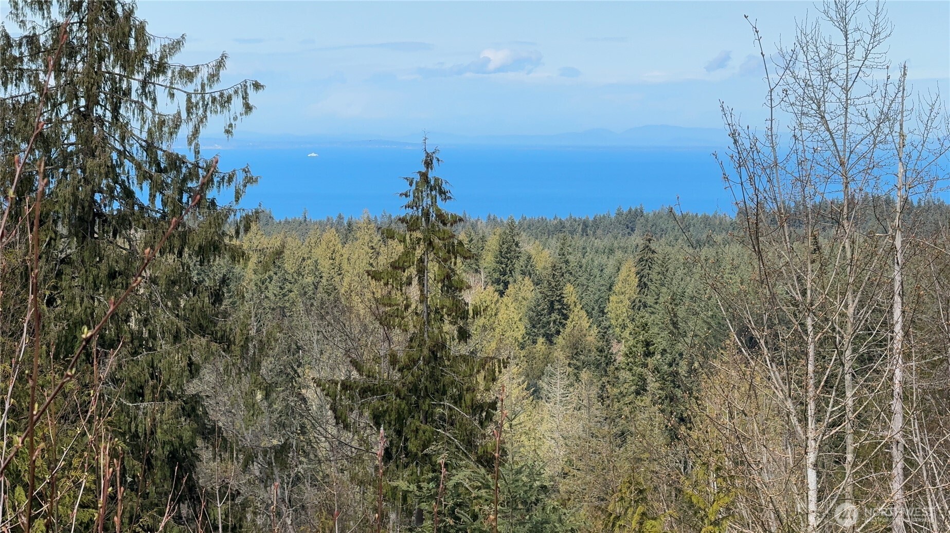445 Watershed Road , Port Angeles, WA 98362