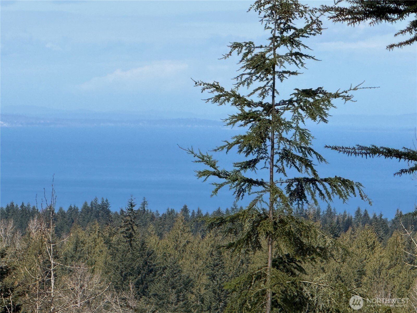 445 Watershed Road , Port Angeles, WA 98362