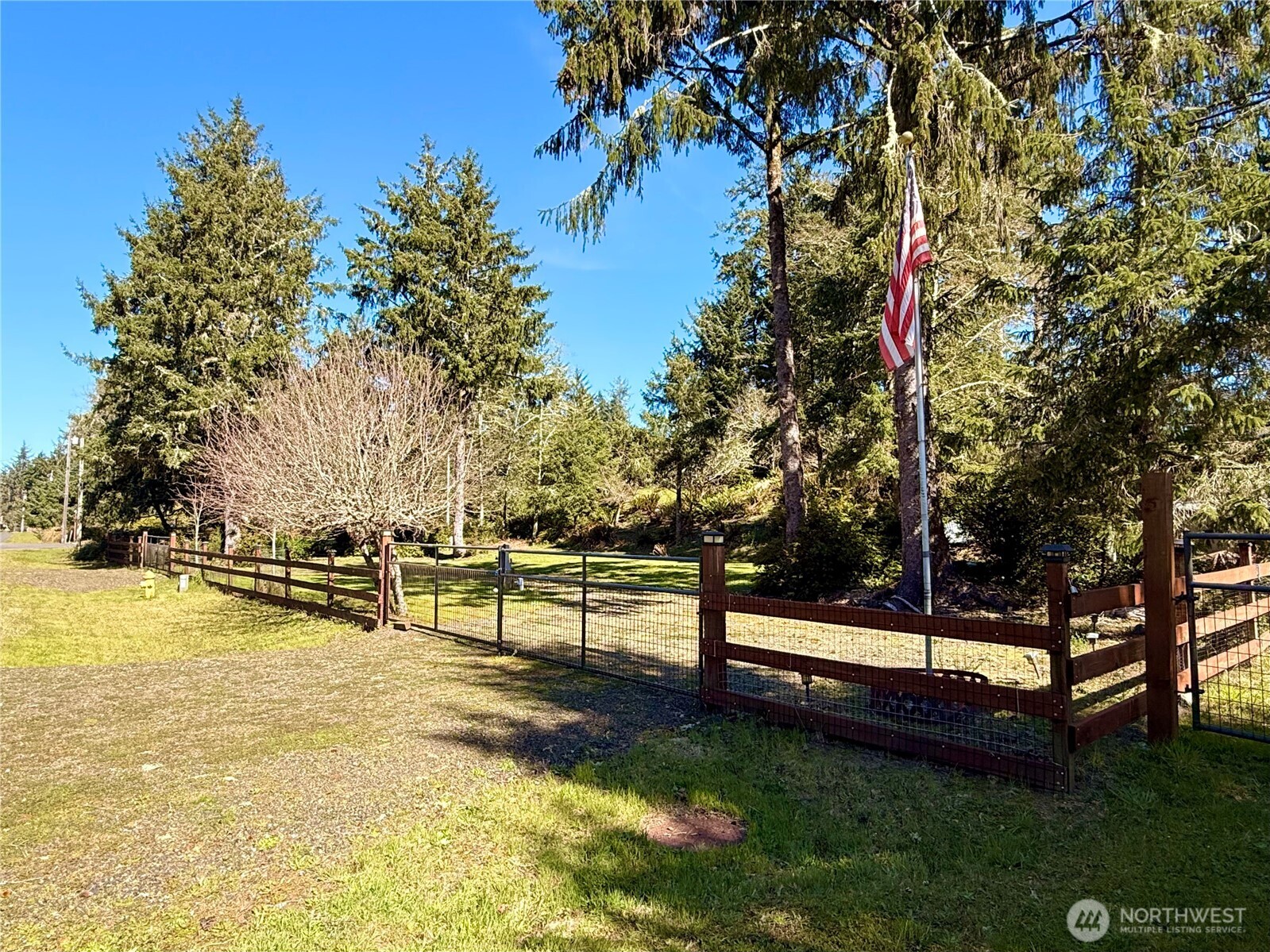 1004 Discovery Avenue SE, Ocean Shores, WA 98569