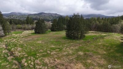 0 Justus Road , Cinebar, WA 98533 - Photo 15