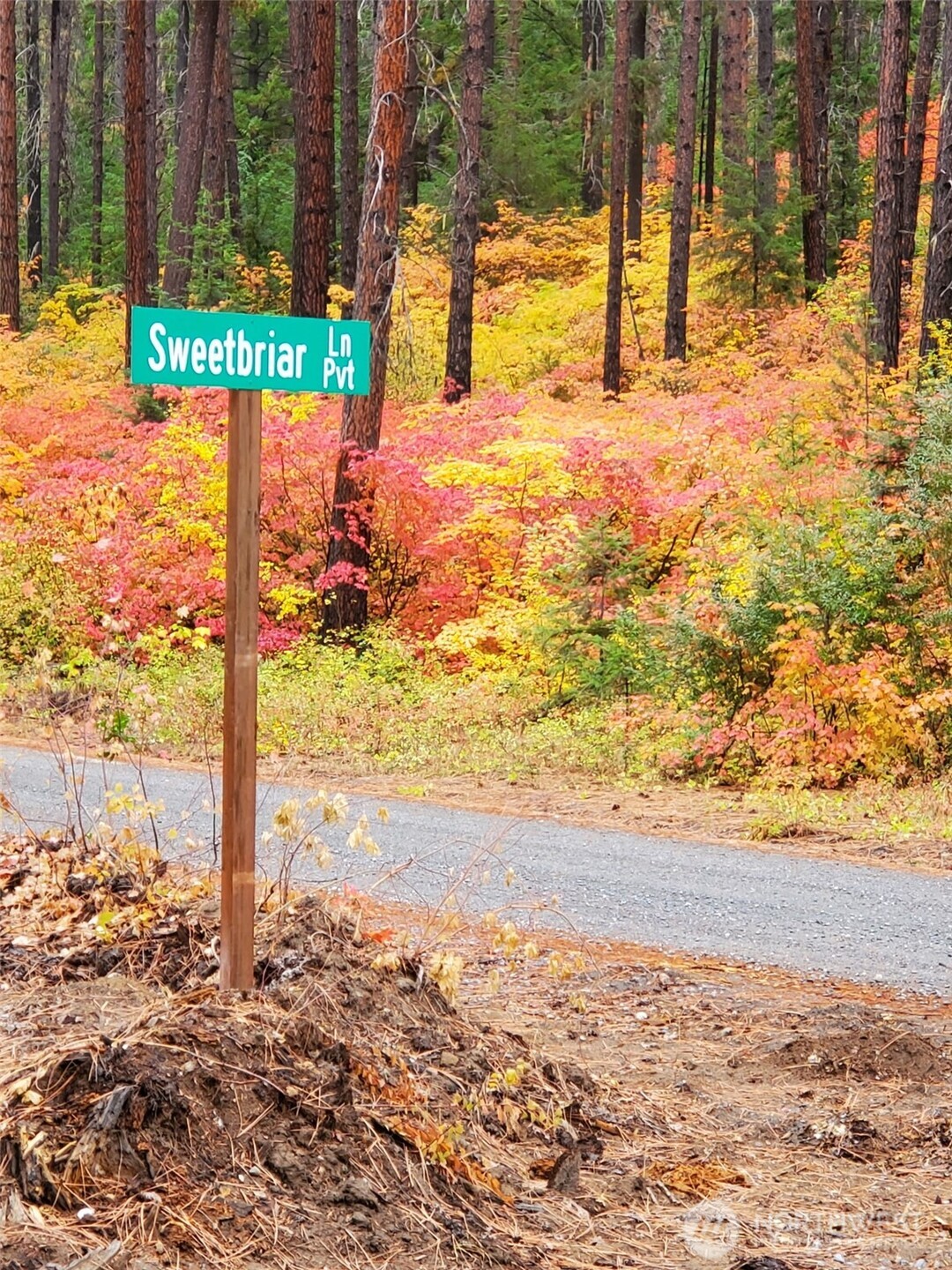 570 Sweetbriar Lane , Leavenworth, WA 98826