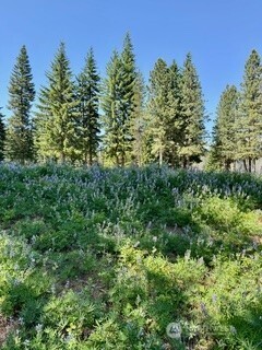 20637 Miracle Mile , Leavenworth, WA 98826