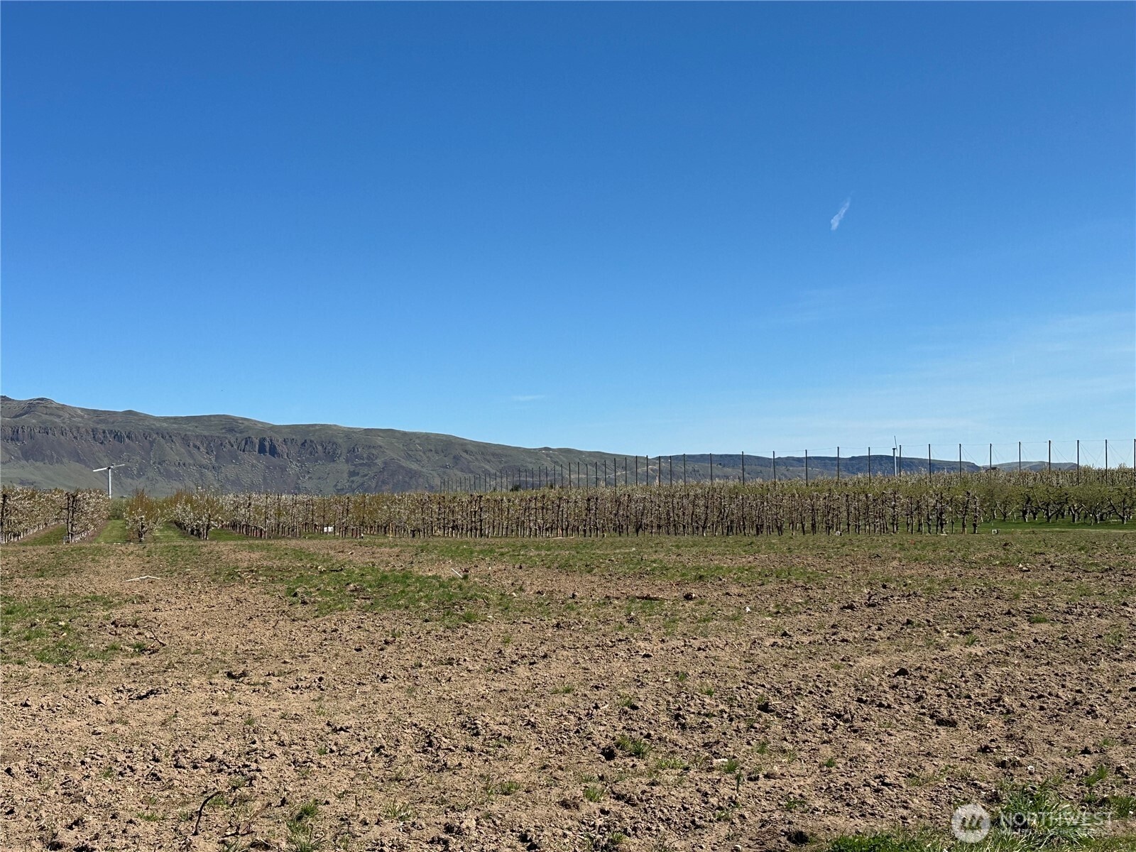 565 S Van Well Avenue , East Wenatchee, WA 98802