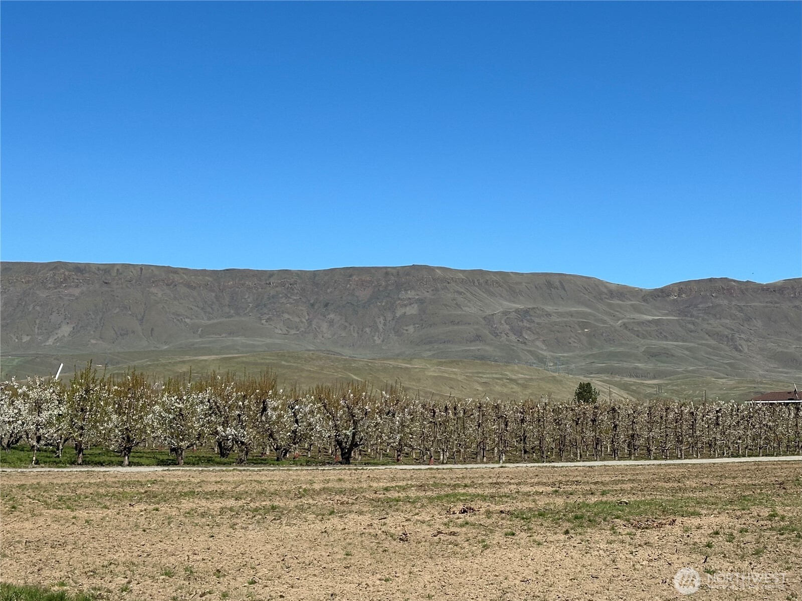 565 S Van Well Avenue , East Wenatchee, WA 98802