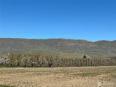 565 S Van Well Avenue , East Wenatchee, WA 98802 - Photo 3