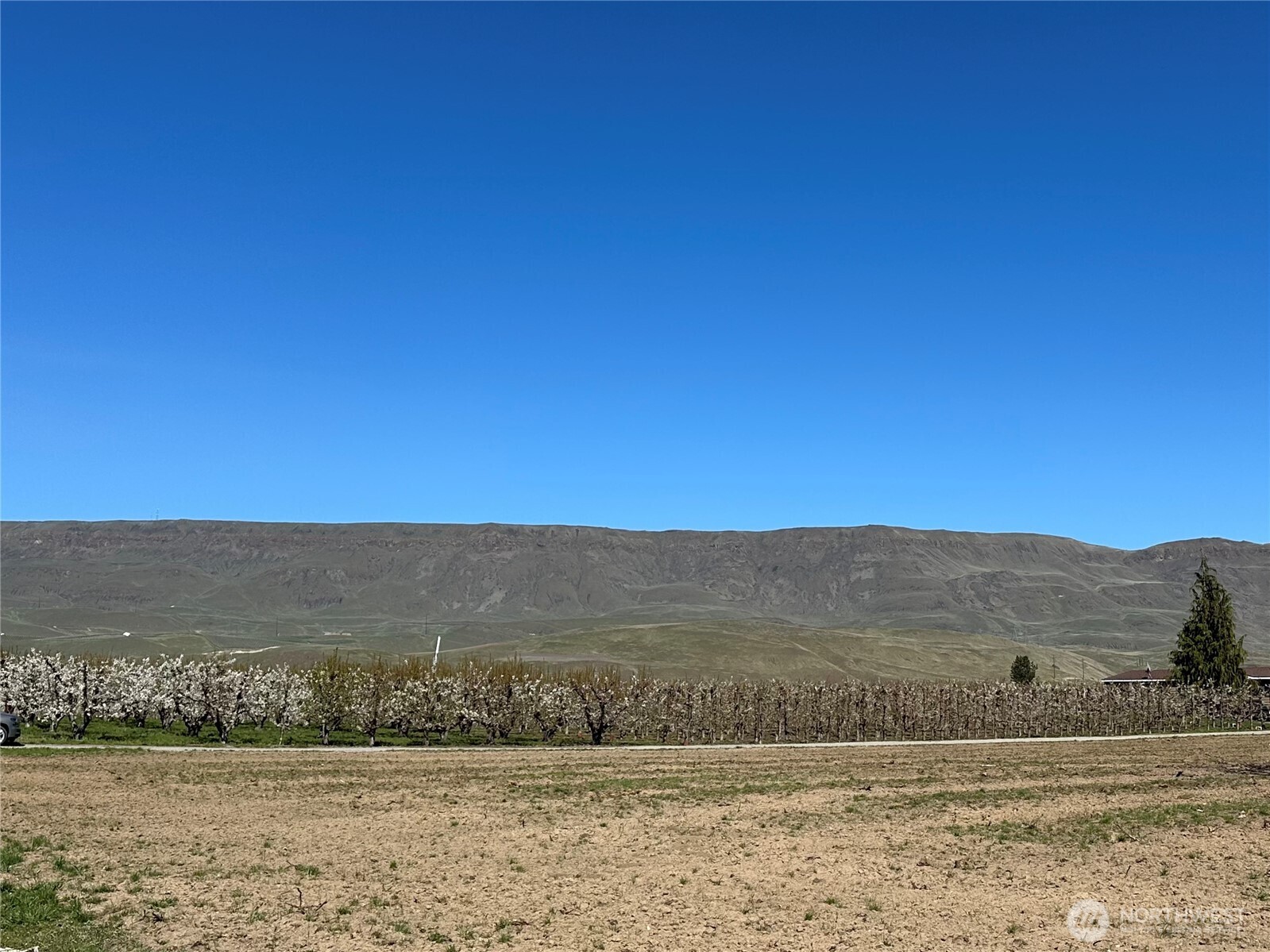 565 S Van Well Avenue , East Wenatchee, WA 98802