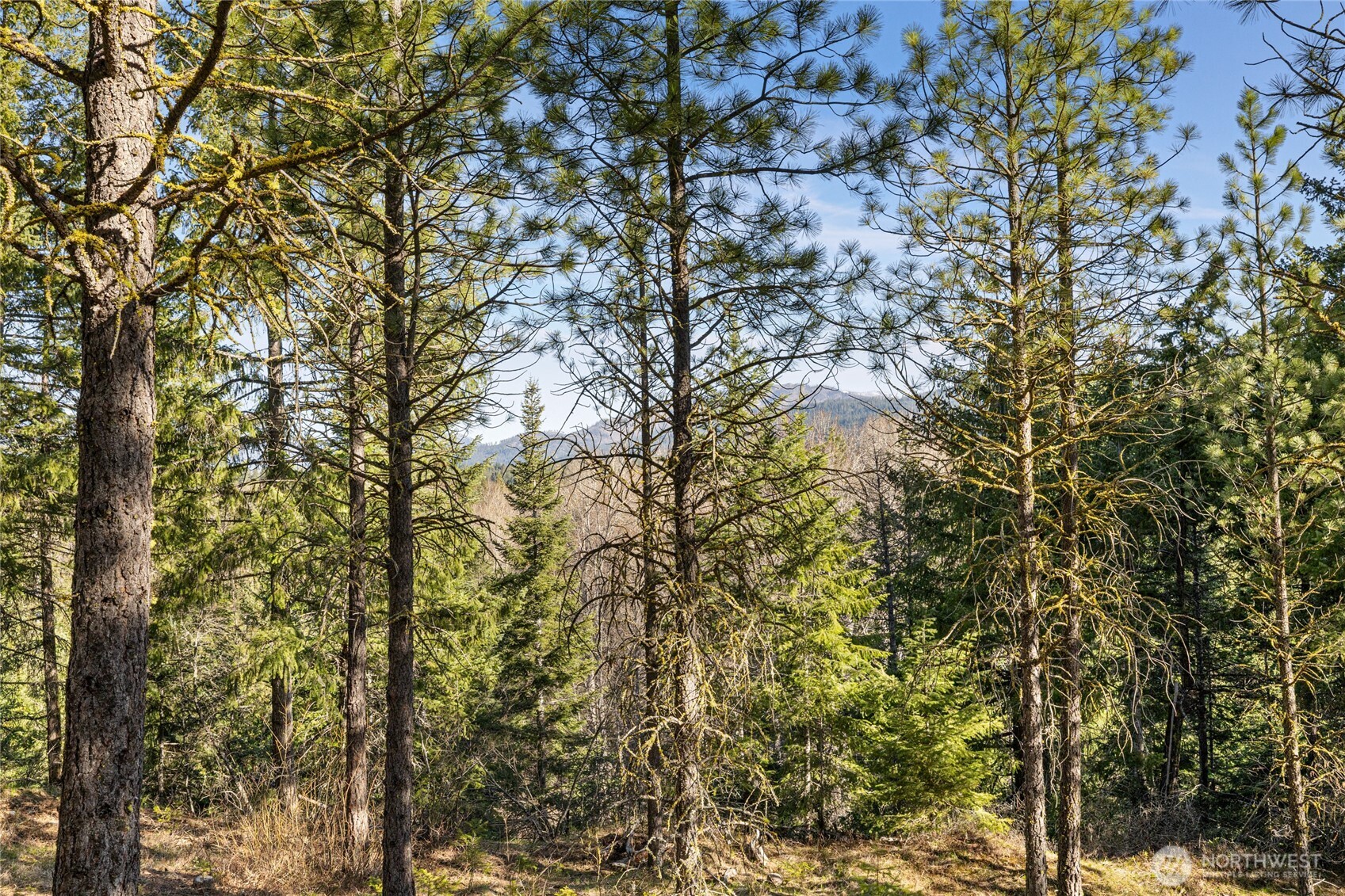 47 Gold Leaf Lane , Cle Elum, WA 98922