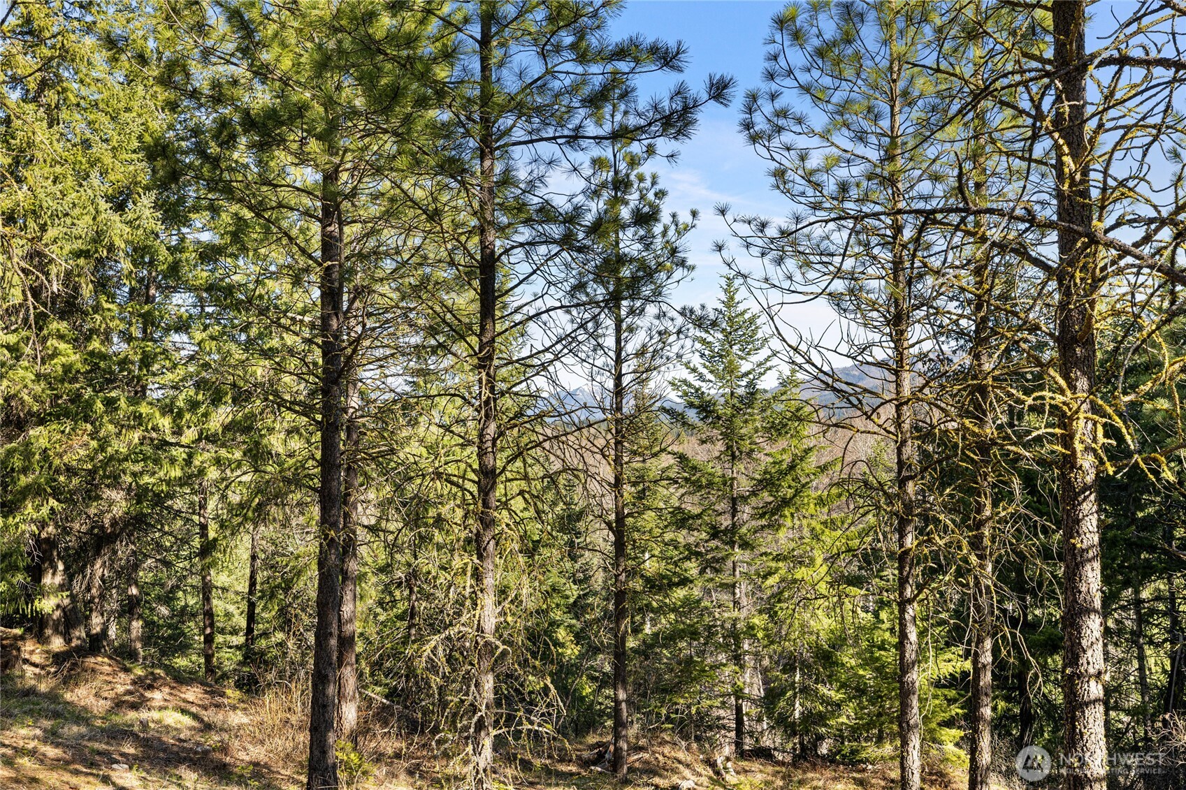 47 Gold Leaf Lane , Cle Elum, WA 98922