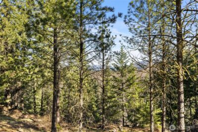47 Gold Leaf Lane , Cle Elum, WA 98922 - Photo 5