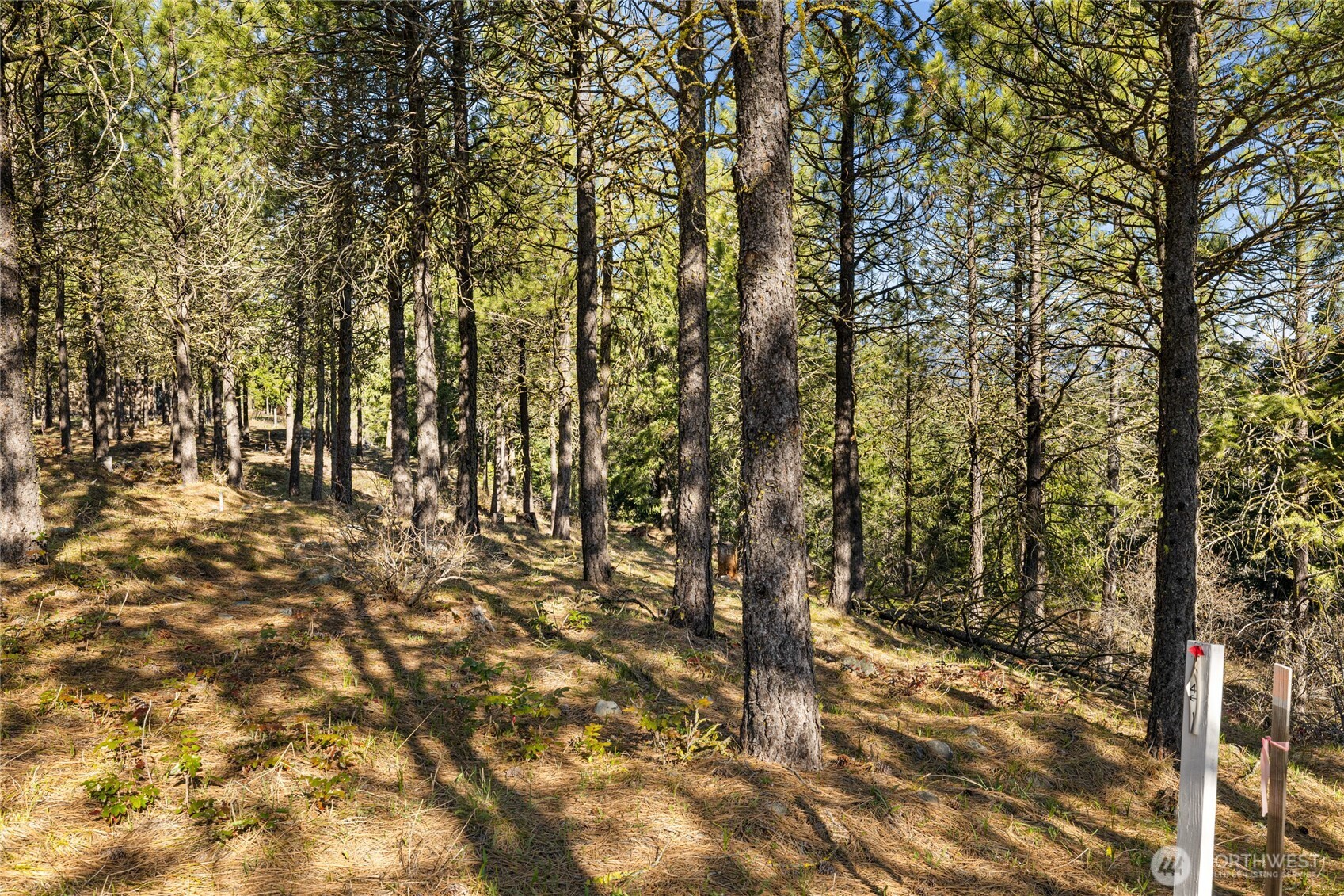 47 Gold Leaf Lane , Cle Elum, WA 98922