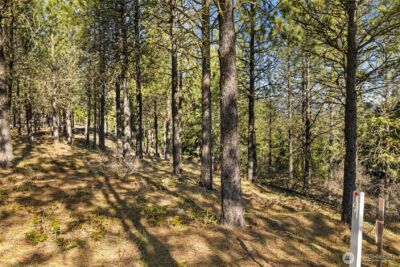 47 Gold Leaf Lane , Cle Elum, WA 98922 - Photo 6