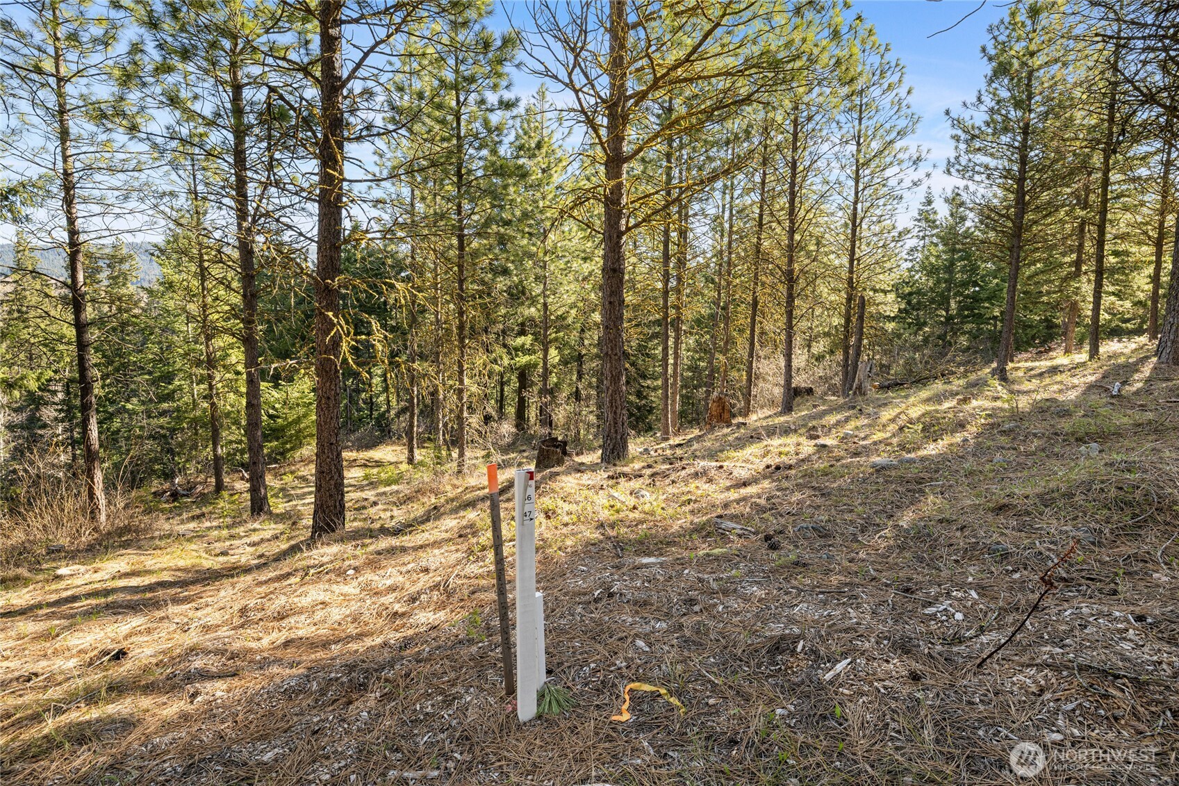47 Gold Leaf Lane , Cle Elum, WA 98922