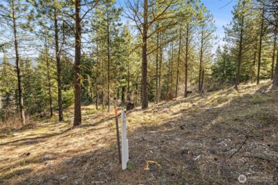 47 Gold Leaf Lane , Cle Elum, WA 98922 - Photo 8