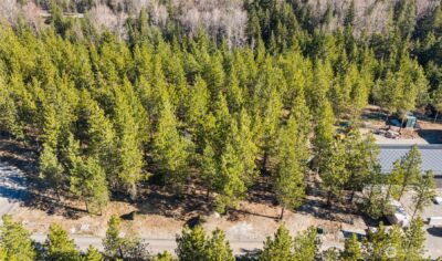 47 Gold Leaf Lane , Cle Elum, WA 98922 - Photo 10