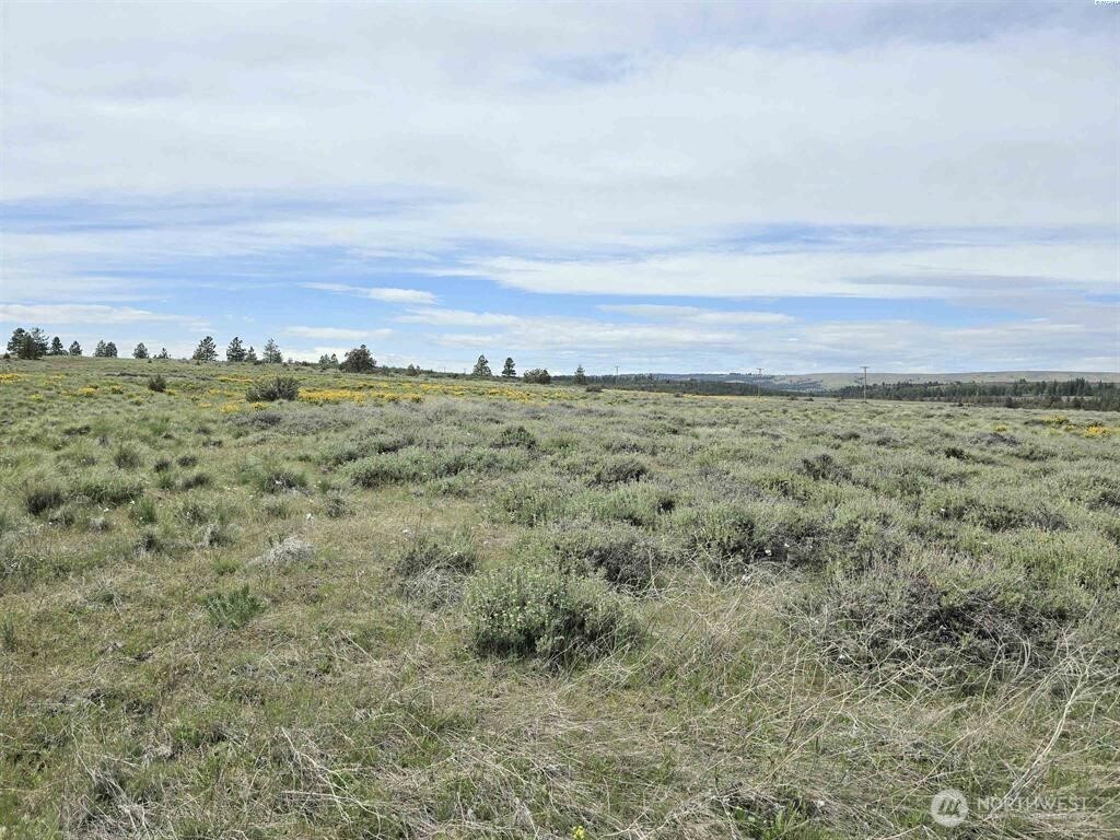 141 Middle Rd , Bickleton, WA 99322