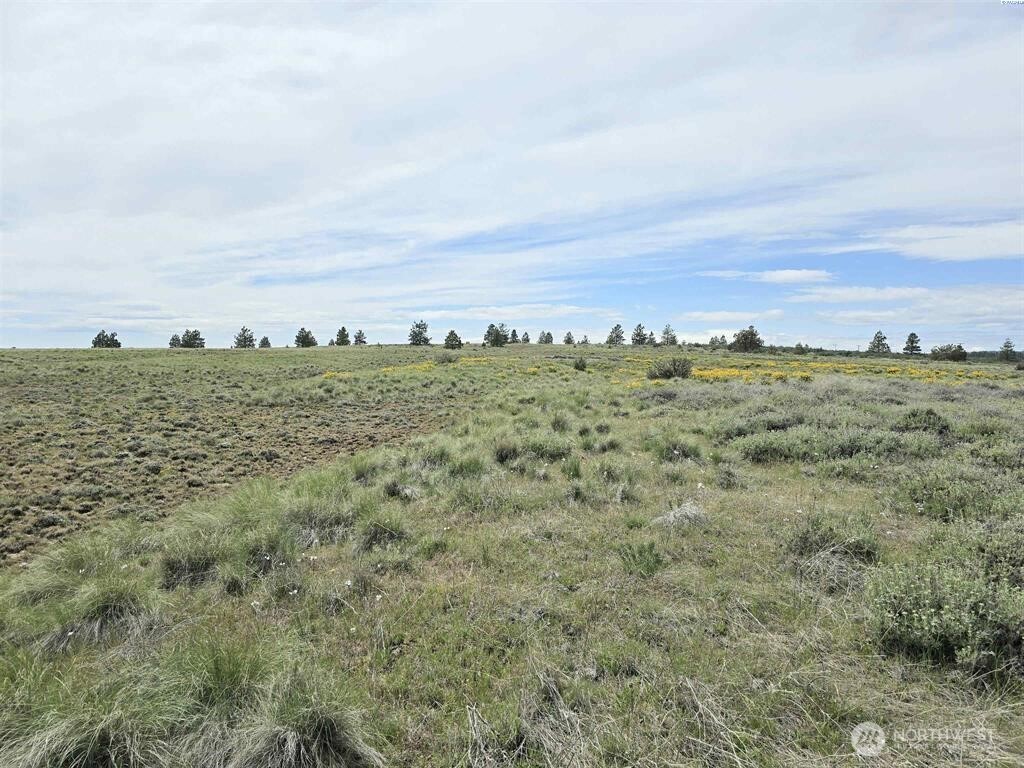 141 Middle Rd , Bickleton, WA 99322