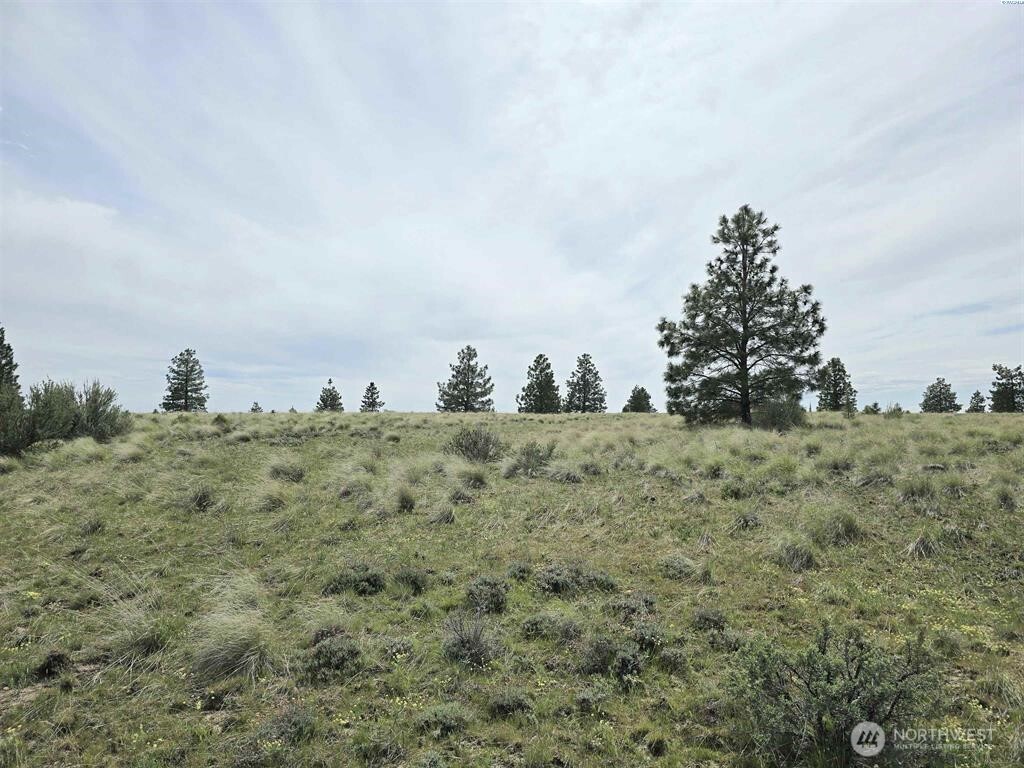 141 Middle Rd , Bickleton, WA 99322