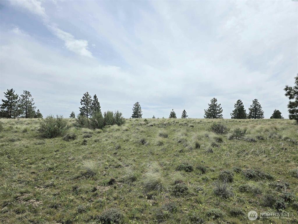 141 Middle Rd , Bickleton, WA 99322