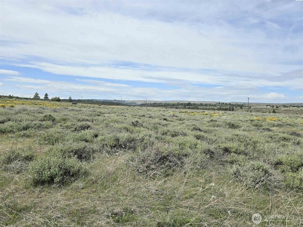 141 Middle Rd , Bickleton, WA 99322