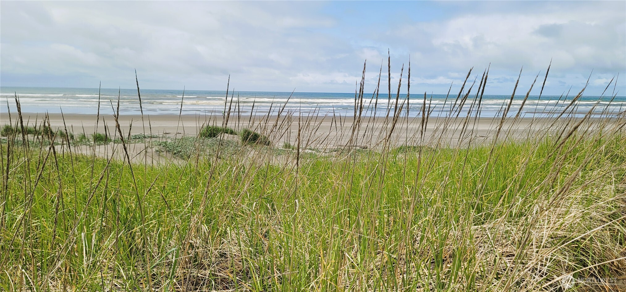 30309 G Street , Ocean Park, WA 98640