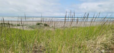 30309 G Street , Ocean Park, WA 98640 - Photo 35