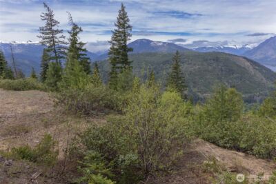 0 Forest Service 6601-550 Rd , Leavenworth, WA 98826 - Photo 4