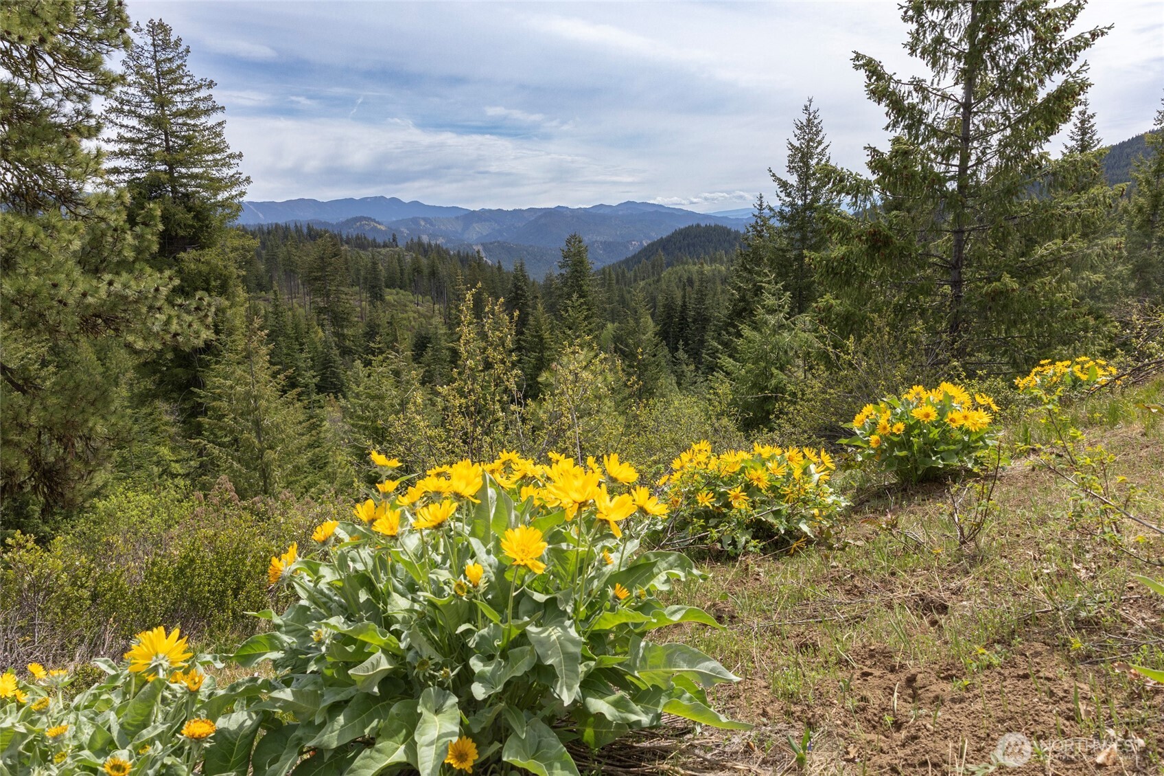 0 Forest Service 6601-550 Rd , Leavenworth, WA 98826