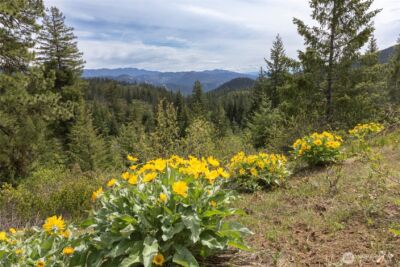 0 Forest Service 6601-550 Rd , Leavenworth, WA 98826 - Photo 5