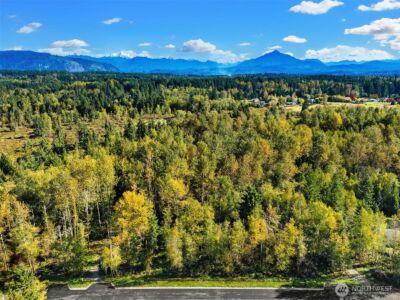11503 (LOT #4) 115th Avenue NE, Lake Stevens, WA 98258 - Photo 6