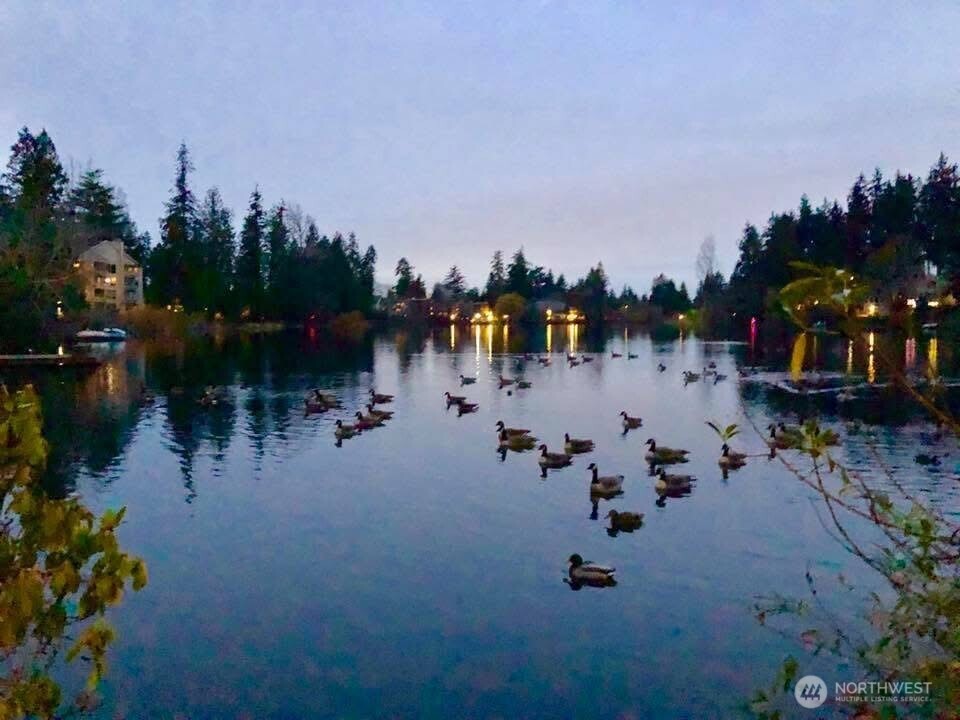 19414 Aurora Avenue N #107, Shoreline, WA 98133