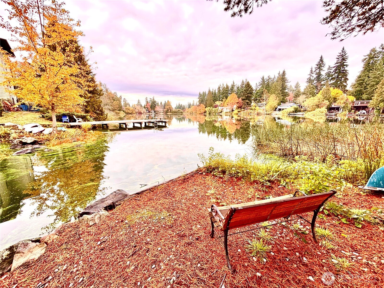 19414 Aurora Avenue N #107, Shoreline, WA 98133