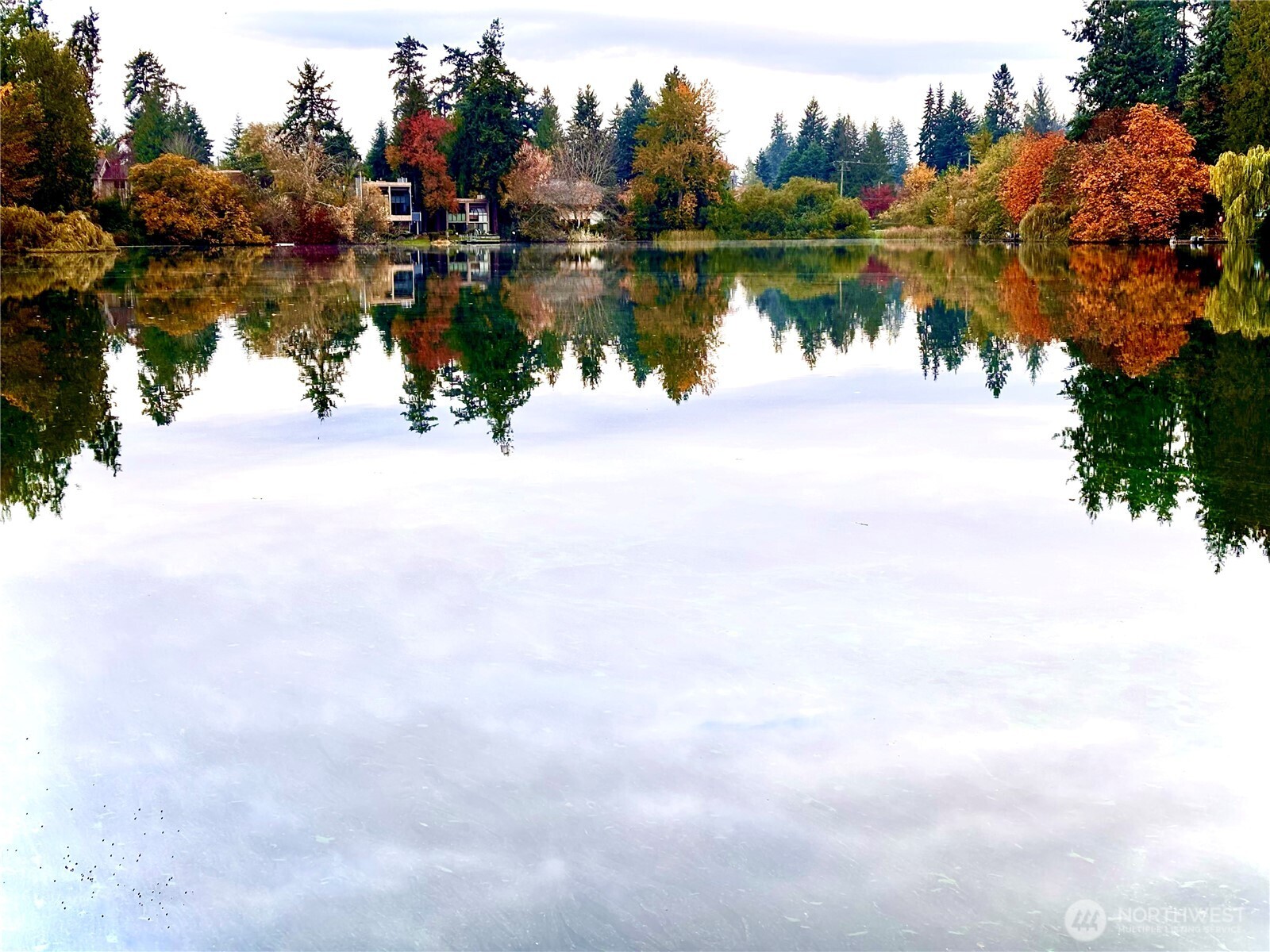 19414 Aurora Avenue N #107, Shoreline, WA 98133